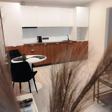 Apartment Pailsek Rasytes Oazeje, Kaune *