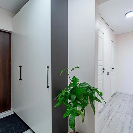 Pailsek Rasytes Oazeje, Kaune Apartment