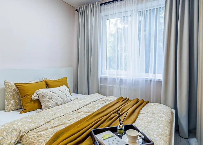 Pailsek Rasytes Oazeje, Kaune Kaunas