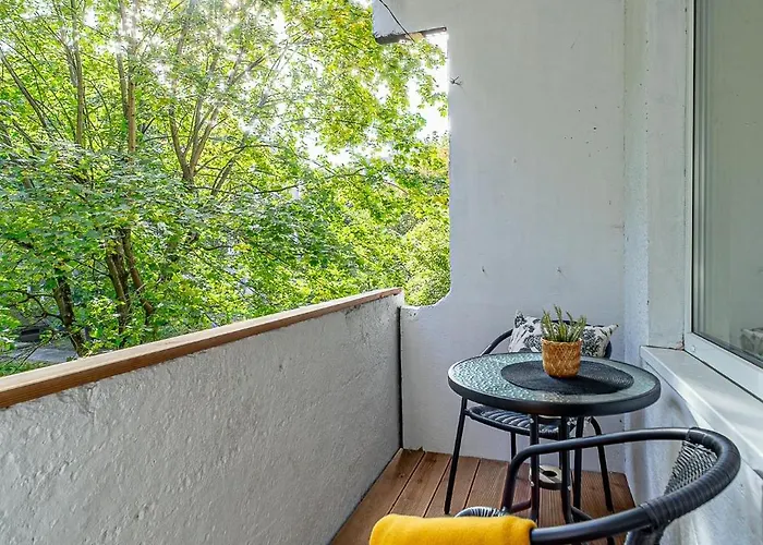 Pailsek Rasytes Oazeje, Kaune *