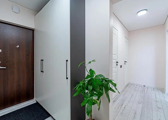 Pailsek Rasytes Oazeje, Kaune Daire