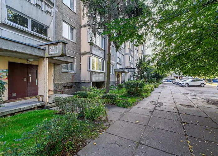 Pailsek Rasytes Oazeje, Kaune *