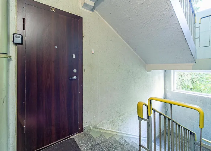 Daire Pailsek Rasytes Oazeje, Kaune Kaunas